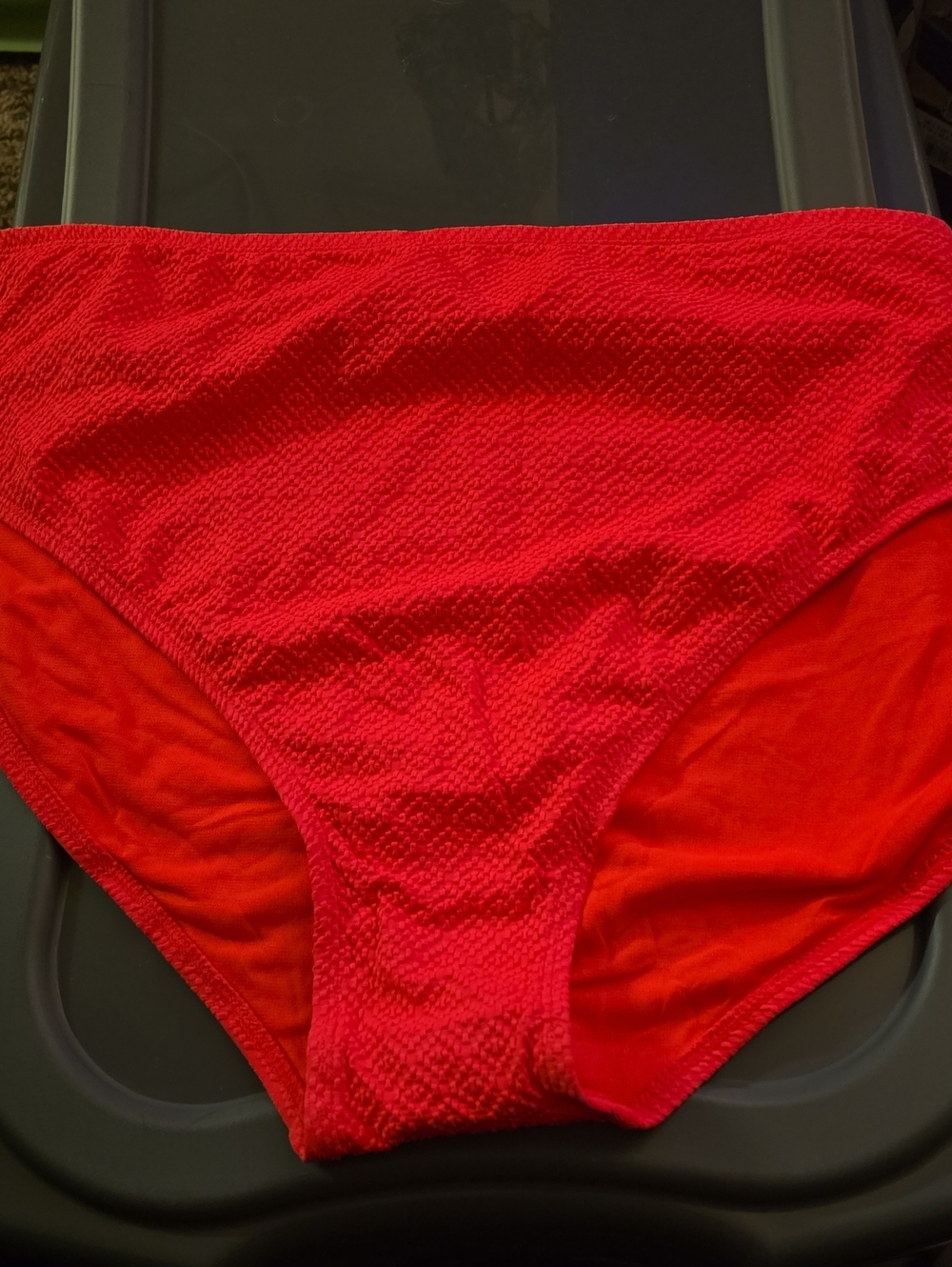 New Time And Tru Woman Swim Bottom Size 3x